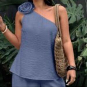 Elegant Blue Women's Two Piece Set